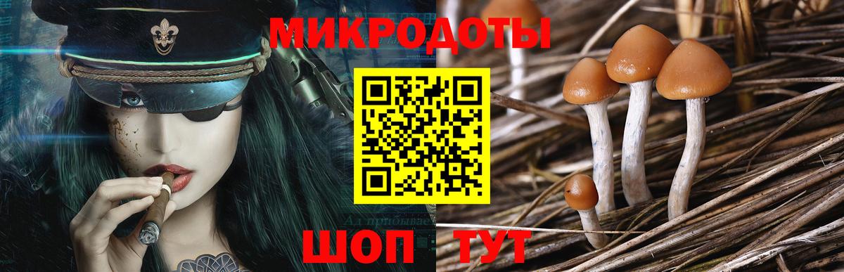 Галлюциногенные грибы Magic Shrooms Бахчисарай